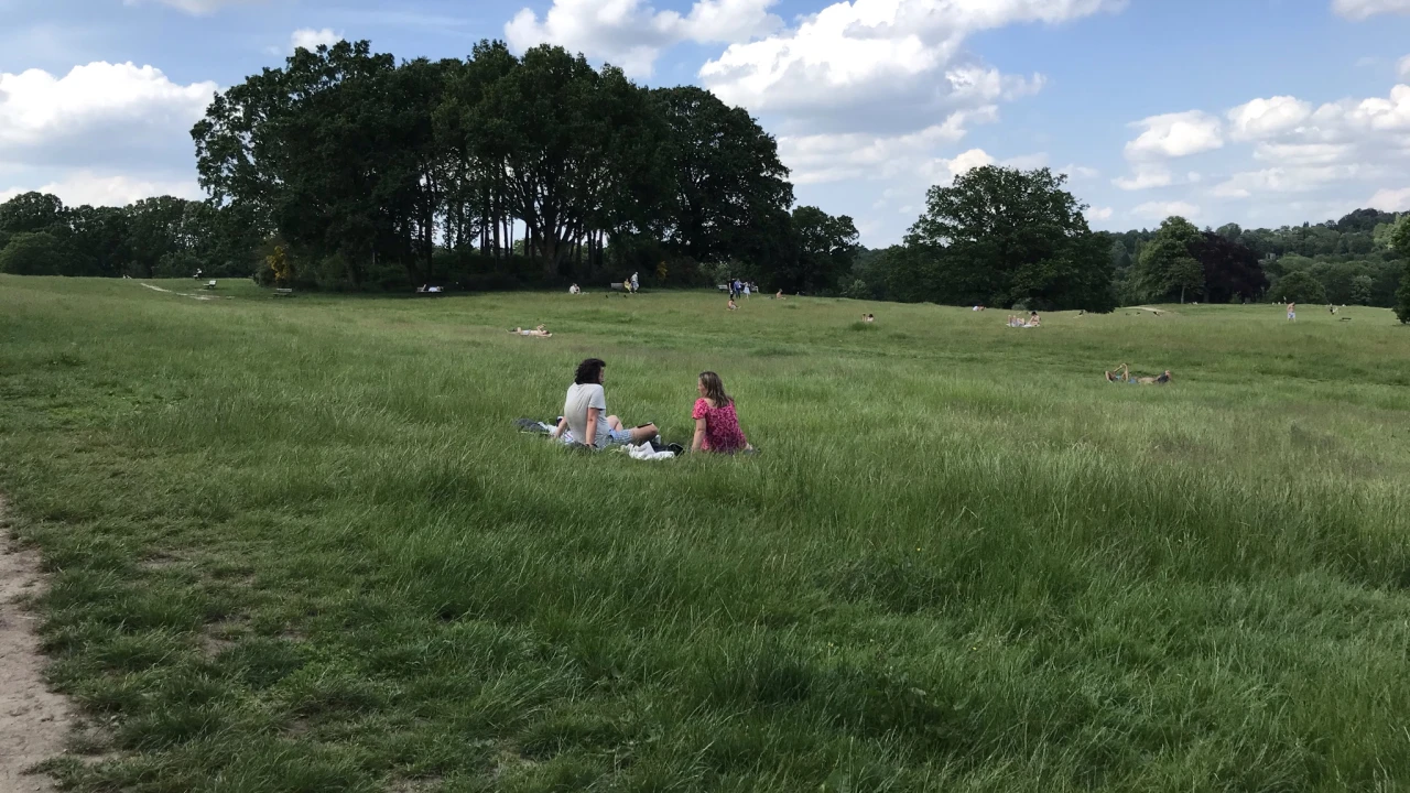 Hampstead Heath